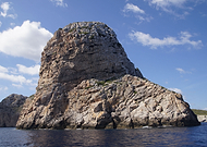 2019-08-19/0654cc560157cf93397ab61d9301378c_e41f17df3967bc2cf4fff58d50d5d51e