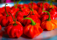 2019-08-19/217315bed346e5b90515af65ad3fd598_6eb8167b93d62feb0134be52b20b2fe8