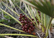 2019-08-19/7b47620bc1da1e550b5d27f71ac328a1_84dba09411c0291412873ee9af6c9d41