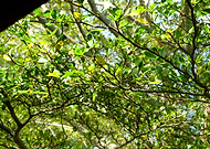 2019-08-19/98255b725675415c61332fad45635b9b_81b9eb67924aa879b6f478b0bebe9ff8