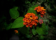 2019-08-19/b6fd02ec16ee50c19d32e56b687f2cba_1bdca583207b08dae94962f5411c6ac4