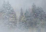 2019-08-19/db60b2591f6f4c0296ec087399486e64_76906146ccab25329141b435e94d5b50