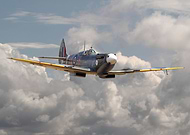 2019-08-20/4a8b9f411343fa10b8f7d629b32a64c3_0faa2efff2d8c8a01949538cff7c5d6d