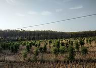 2019-08-20/693aba6d4822bb6043ccfb63fe38496e_afaac55f25a8a72591a96f96350812b3