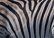 2019-08-21/1c645c0ae98e81bcd8e5b21111721aaf_3c7ded72cce0b63312fc2d8d3020d935