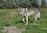 2019-08-22/32de837be958efa47d165835e810ee10_ee1b718e45741058fbee4f8f210c124d