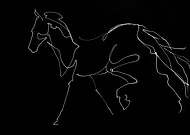 2019-08-22/428a6396082dd8e38dc8e42af735fa4b_ecf5220f56dd746b5084274559f40674