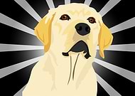 2019-08-22/4776b889d6a478d538e52b281d998aaf_4b712d22e9db20aa3c0fada5da6883ea