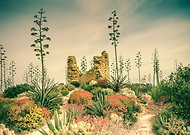 2019-08-22/4827b442930c61451288768321131a8f_65167484ef21a1c0366a6b4f590d50ed