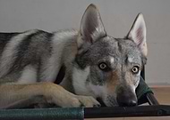 2019-08-22/8af12fd61ddee514b69be6015a192fe0_fdad3e765e74899708e1bc026faab5bf