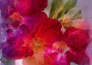 2019-08-23/acc4cfcd6745124bdf0cf70bf0b4e559_cd9a288f0407f74ce0a4ad198bc5a40d