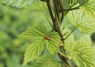 2019-08-23/ca728c39b565905c78dc94e4b477462f_e5cd2d3e5504acefab9599e201468153