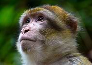 2019-08-24/e5e2f9fbc7b0c898d5b4ea2d60a2be57_a8856b75a27235a86e60d3178febcf09