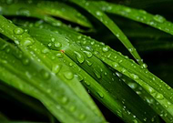 2019-08-24/f9fb6579b54906aa01877501a85e632e_cd481c0e8b576bfbc0fb7282da2896c2