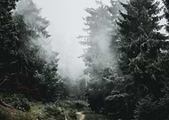 2019-08-25/761863211d2b804211058d50786d4019_44450115bfe948fbd837b22f33764af4