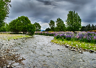 2019-08-25/7d4984816fc18877fa7716e430e19fbd_9dd07b318f4b087dddc10b2d358b554c