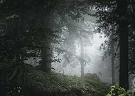 2019-08-25/7f272fc481d27181c0e70f0d7e66236b_037975806a5eb8804789c7deacc17916