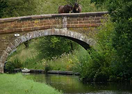 2019-08-26/495d22433f4bde31a5133f845d00b06a_b1cb9aa2631ad4f8e3ed54d168ed1c8c