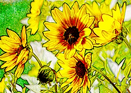 2019-08-26/bc35c7731cf1af9b3a0b5a0e3640df61_e6cd963fdc4696b6f086de245454bb7e