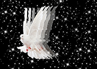 2019-08-27/00e0754587373d2ac7d29ffc8d7f9f25_a466943fcfce86ce85e7e253b0ca870a