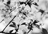 2019-08-27/345b966509f89aed86f2b7aebb392b5d_037ab00574e42c954b0064db59f9507b