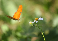 2019-08-27/c8fa1e9adb9e6fc0b0df6ac6561f96e4_77ee000f1cb4431e75dce58a034a924c