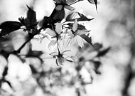 2019-08-27/e0477a935fd1b9108b060c81709a9e4b_44cde578ef21b9b14acb3d3d3dac1be6