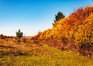 2019-08-27/fbee92b113bd2e3c7a9175a3470e7af2_a28f8ffdd780e68ecf1abcf4e7facab1