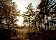 2019-08-28/eb05b5babcc00295506a24ff64f4d31b_837c150e00633ce8d8a8f9ecb38d2272