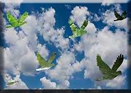 2019-08-29/43db1f2c3609d6e57773c8743a216ed2_a7cd161c0a6d426e482bf8e04d92b993