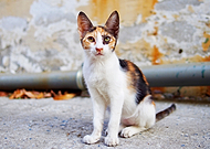 2019-08-29/4e344d80f04f5249255e0617d12b13ef_57e8bfdf1614d5352c65c55e7cb8a389