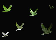 2019-08-29/a37842adcd4ed46f6094861cb200df1b_ae93d8ca2190ff0cb280aa60923bd71d