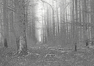 2019-08-29/d121f47d8921a740d4ffa00e298d28a4_79202836ac48110f9a3f32428b722836