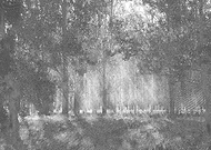 2019-08-29/d4f28840384daeb721eb164edcc7cb98_ea228f601f1c3cdd7f809bc1dfc22984