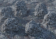 2019-08-30/32463267117e42161ba63c6e87b77554_e1bc264cfce2194bafe6e414a55a444e