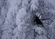 2019-08-30/559c1fbd6073e5d791ca339af9917278_98479a344c8adc92c95d689fbb8a3b2f