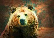 2019-08-30/6d3d973dcca72a4d9d033b217cc3ec1c_b6fe16e6417bd56a956d59d31c7c9552