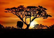 2019-08-30/8d321584e5c02b78ad6aa7ff7011c7b5_58ee3e2fdd0c1ff3f4442ff9606142ff