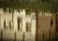 2019-08-30/e0a681fb3ab291e537387ce5dad5d5f0_fcf35830a460863bf786e9e5fa28fe87