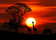 2019-08-30/f6b0001aeb90088071c4dd8b961b663f_083b25a4d45fedab79e28ca5abf9b8a1