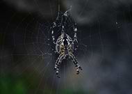 2019-09-01/0a75cb82c1d98a551d9efd59ec705889_6da47c17df53df77e9b41b4fa760fd0b