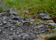 2019-09-01/1898fc533e545b51d90f9e6f4839fbcf_6f11dc30db7c35e2aa0b4fc978281eab