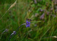 2019-09-01/5fe104f4f123b1bf1bf54c860a3d0982_70c653daddad1c42aa4a04b6ef018c82