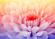 2019-09-01/ef5ecfc442e2e7b385006a9b0a41edb0_5adf7e555ed9034152eace6a1fa31b4b