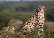 2019-09-02/1e26b73216aa04957693112a7d64994e_c1813491c78deaec074bcf9fdfe341af