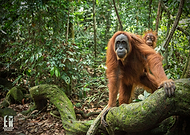 2019-09-02/4c5fa02479cd1778d6a01dc6bacbb704_965d28e85a3f1f09fd5b0be4b28aee22