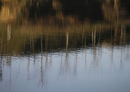 2019-09-02/baa69fafab5f47c5f0a1c7d39fc68eb5_7d84fff32d724e13bc323fb3efe3961a