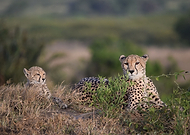 2019-09-02/c2d4cb9d4bb7396aee89972d75e121fc_cfa2825d9b8d29abd1e85321b4ce34cd