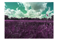 2019-09-02/def052ef6b6aeeb07d198e90ab6c97b1_74a21391f916b0aa846eb144900bd2c5