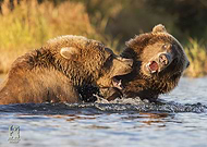 2019-09-02/e5e0f766c82527040098e14c91090d27_4bc34dba2e43805bef15a931835ad2be